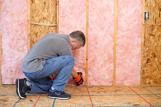 Best Insulation Maintenance and Repair in Warrenvle, IL